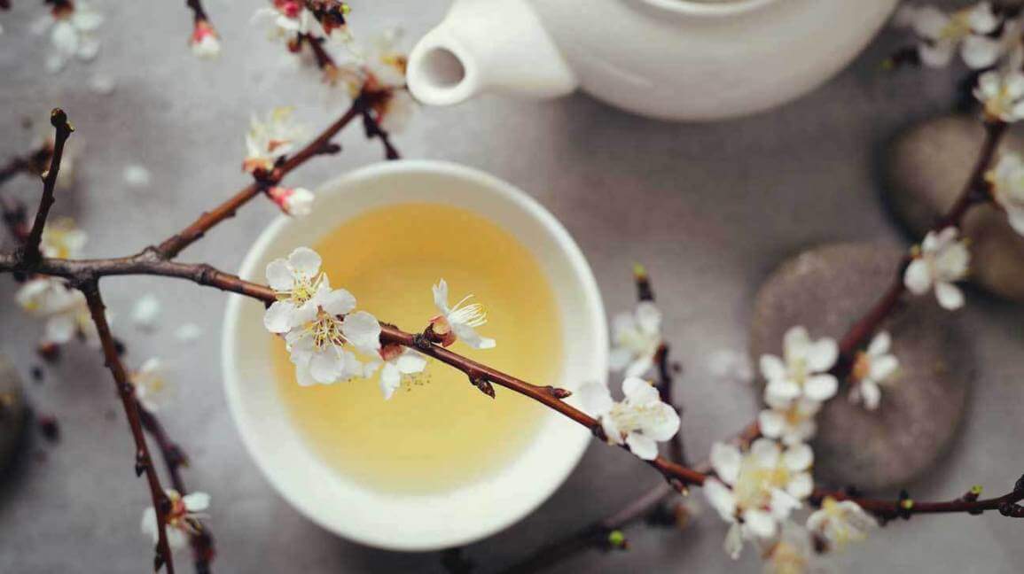 Beyaz Çay, White Tea