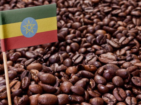 Etiyopya Kahvesi, Ethiopia Coffee