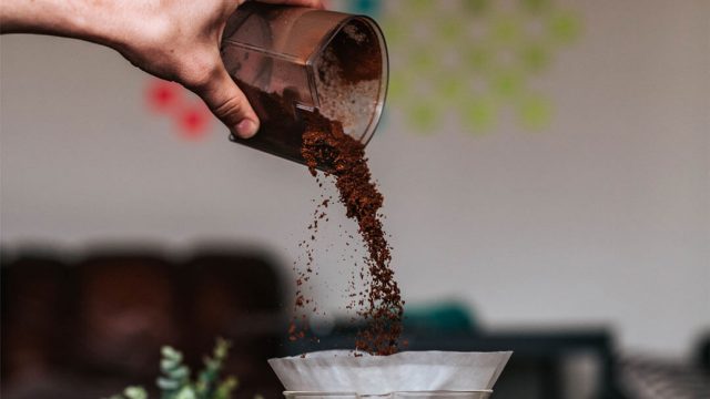 Kopi Luwak Kahvesi Özellikleri Nelerdir? Nasıl Yapılır? Muhiku
