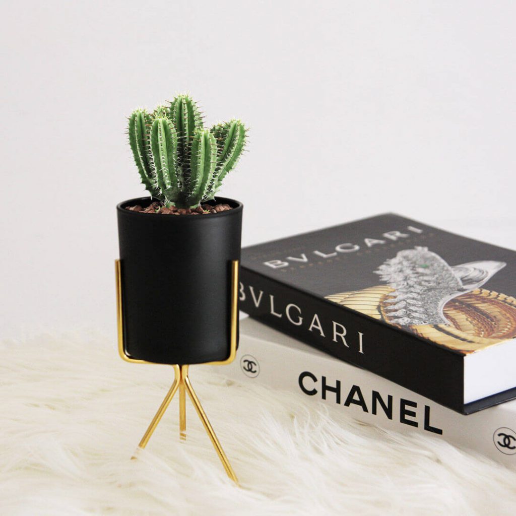 siyah-ayakli-mumluk siyah-ayakli-mumluk