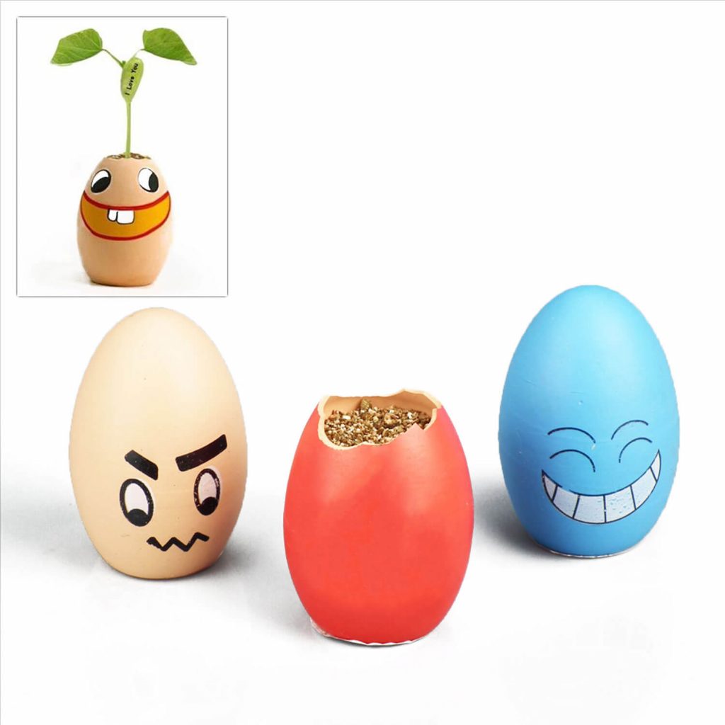 sihirli-yumurta-deneyimi