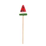 Karpuz Lolipop