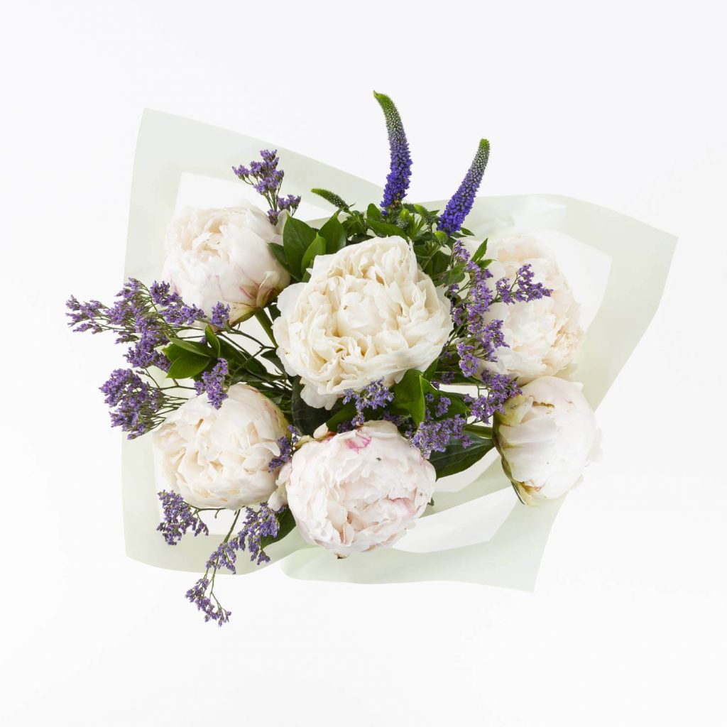 Peonies Peonies
