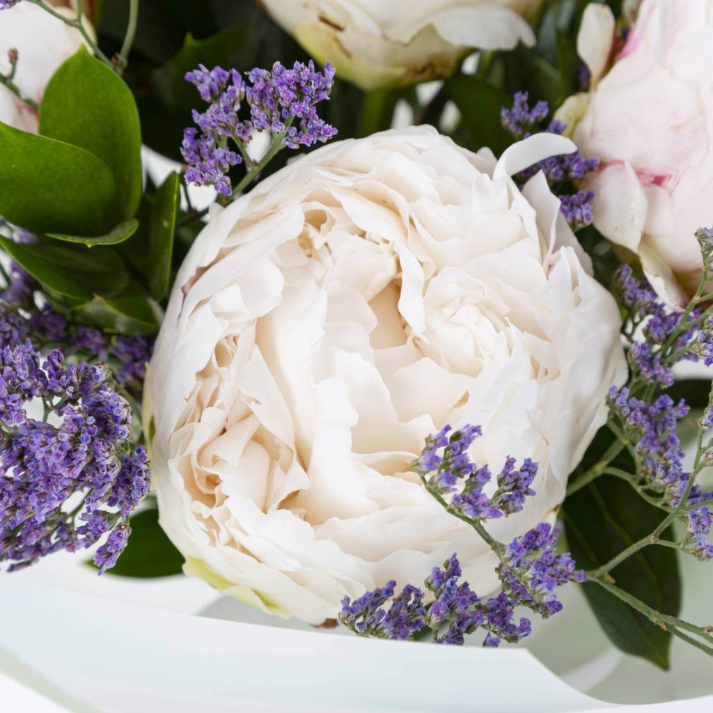 Peonies Peonies