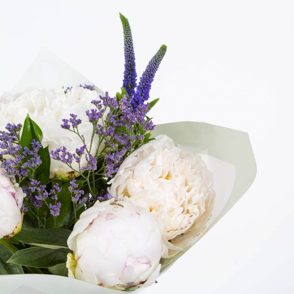 Peonies Peonies