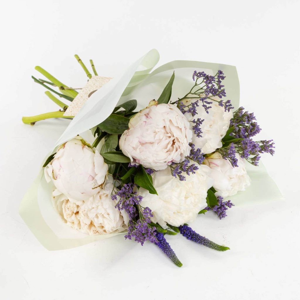 Peonies Peonies