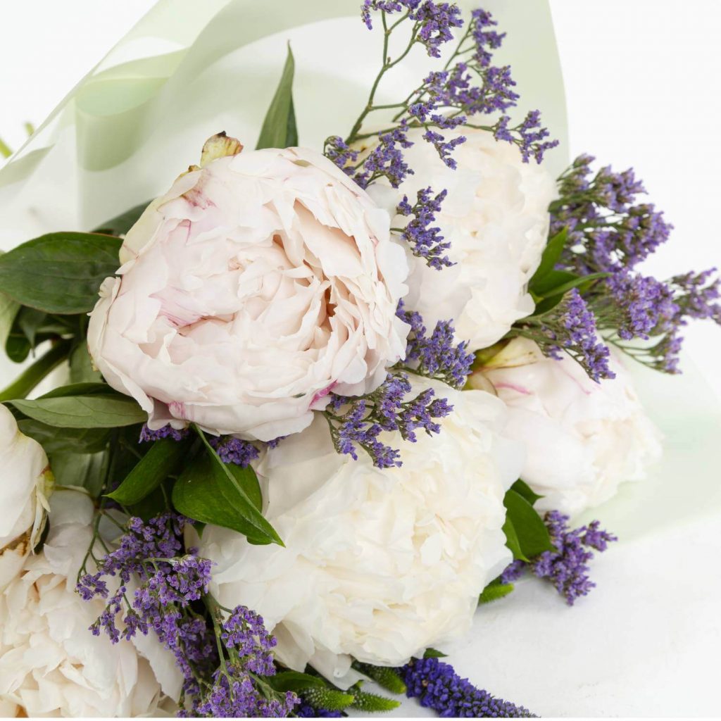 Peonies Peonies