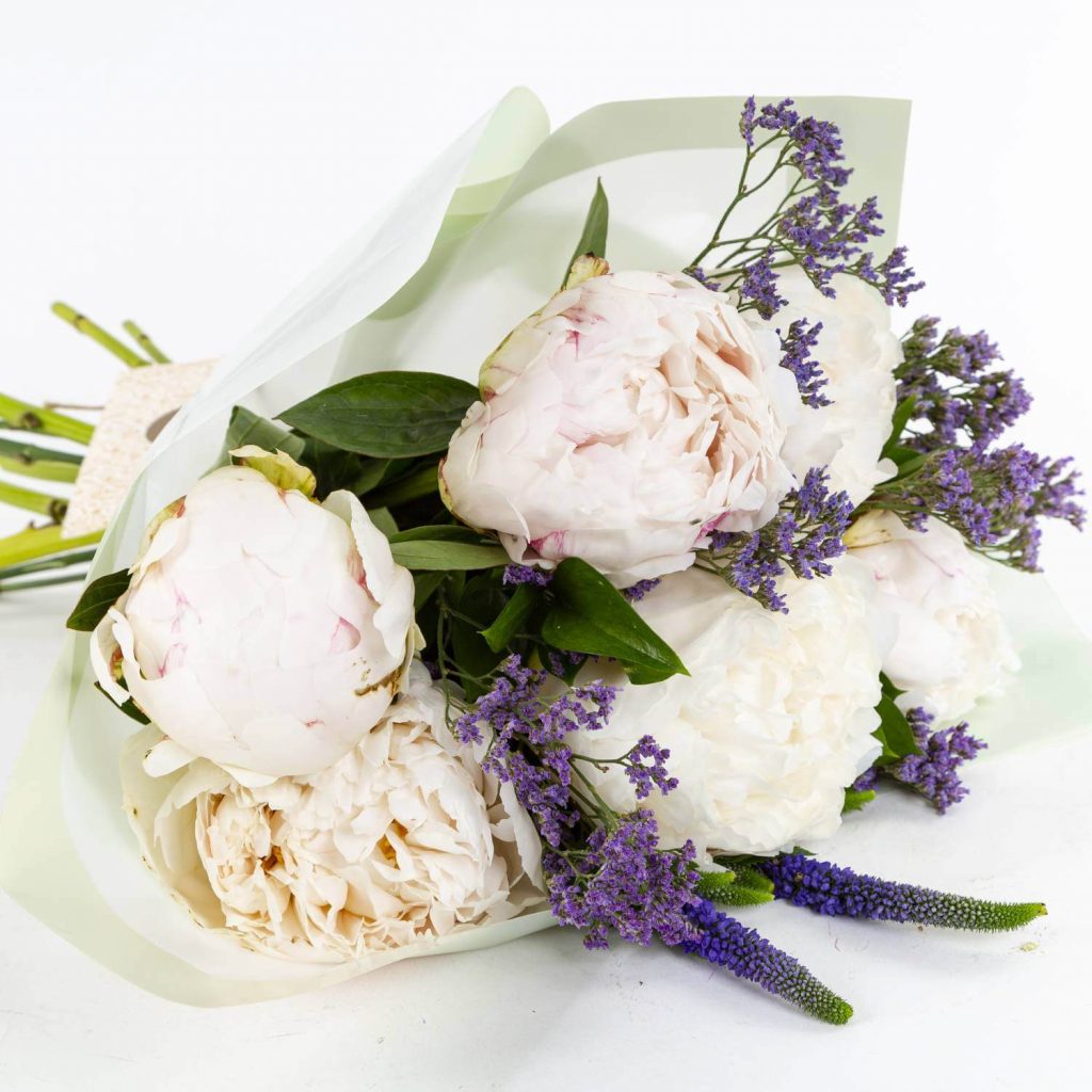 Peonies Peonies