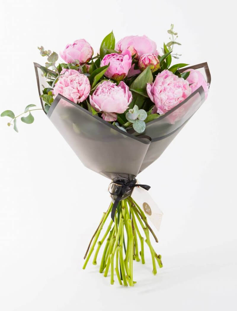 Pink Peonies