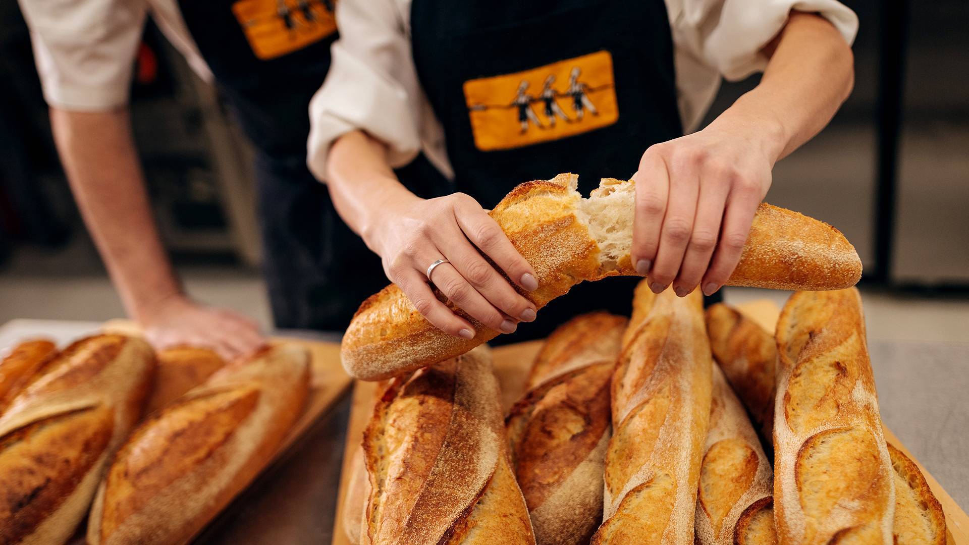 all_all_big.jpg all_all_big.jpg