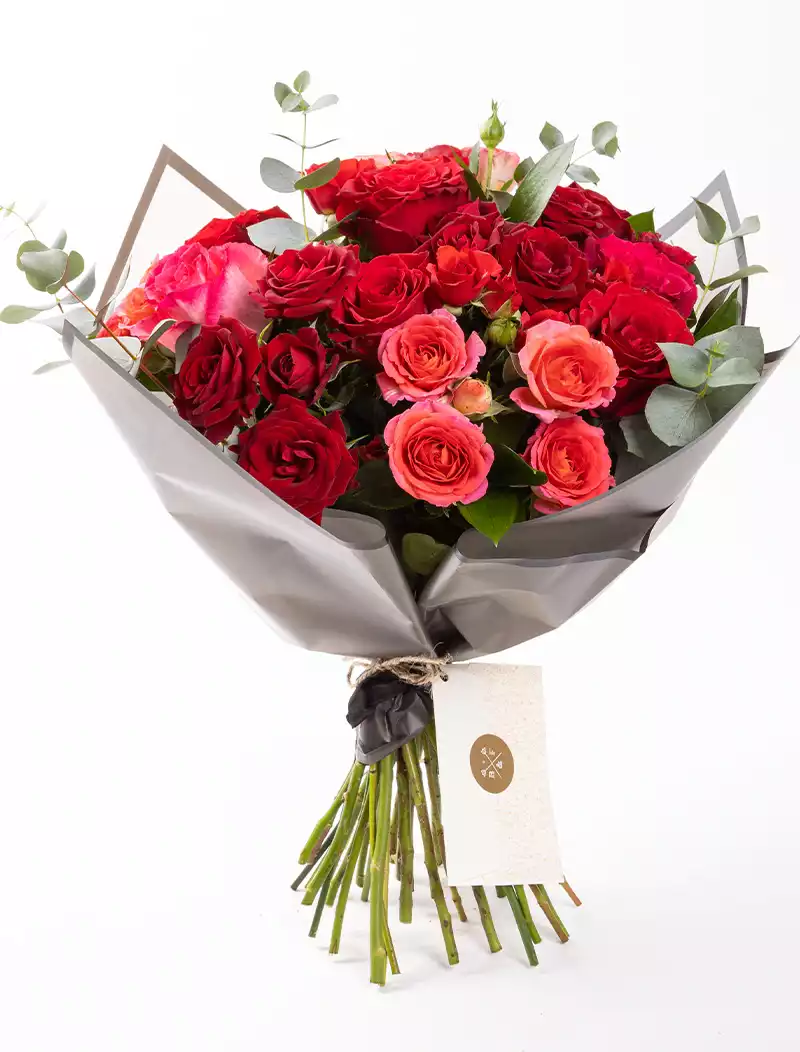 The Valentine - PLG