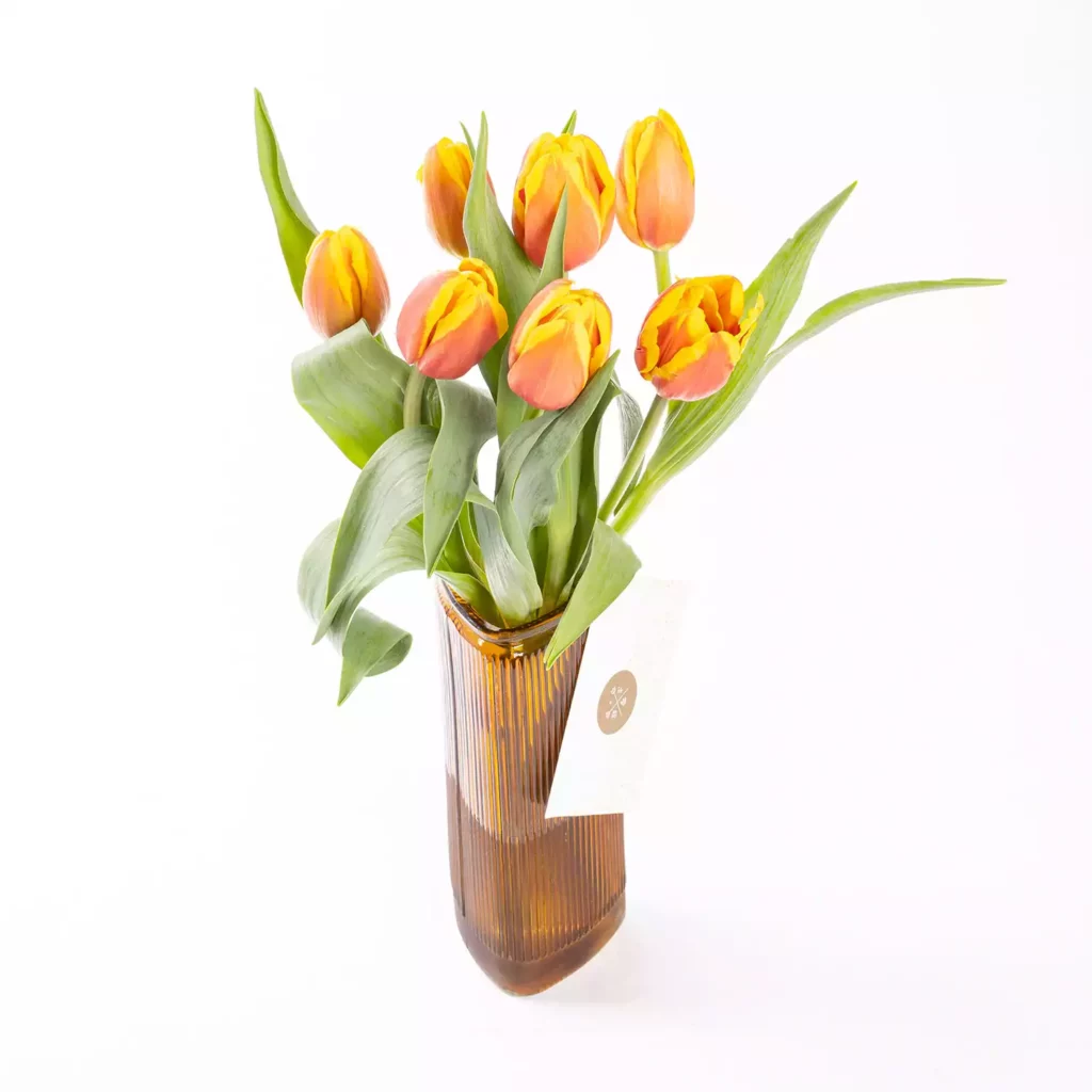 img_2646-copy-min Cabana