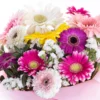 Mom's Favorite - Gerbera ve Statis Çiçek Buketi