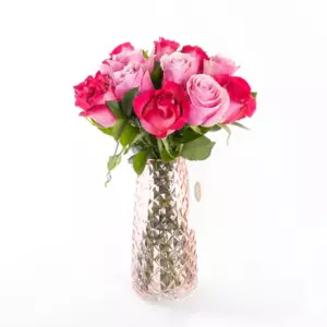 Candy - Pembe ve Fuşya Gül Çiçeği