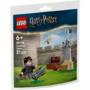 LEGO® Harry Potter™ Quidditch™ Dersi